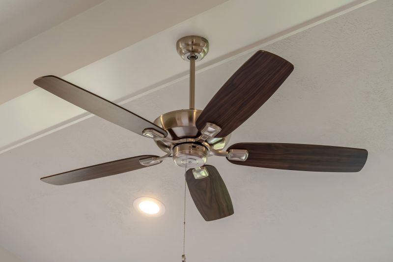 Ceiling Fan Mounting in Conroe, TX